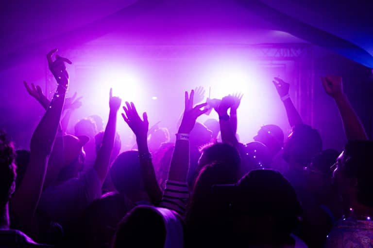 dancefloor violet style hands up openclassrooms classe verte summer party agence WATO plage de lys chantilly soiree DJ charles b