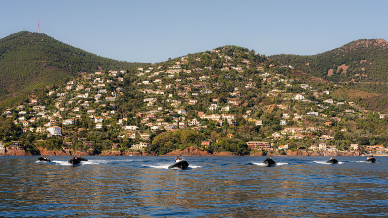 sortie zodiac seminaire cannes french riviera evenementiel immersif international agence wato