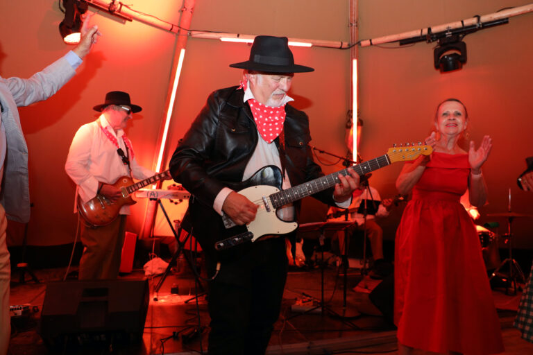 technique-et-son-lumiere-evenementiel-angers-concert-live-guitariste-la-fresnaye-wato.jpg